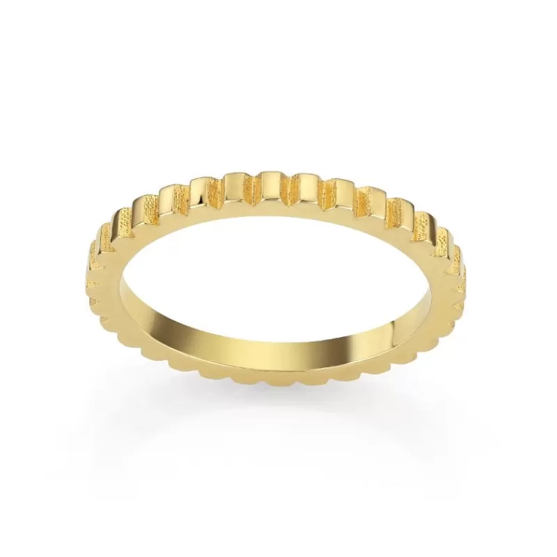 David-Andersen Gullringer-Ring, Striper Gull